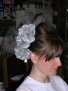 Fascinators